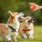 Interaktyvus įkraunamas kamuoliukas augintiniams, 7 cm USB