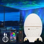 Projektorius su garsiakalbiu, Bluetooth 2in1