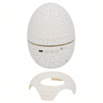 Projektorius su garsiakalbiu, Bluetooth 2in1