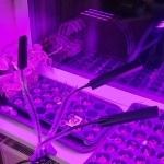 Augalų auginimo lempa, 315 led