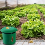 Šliužų gaudyklės, 2 vnt.