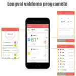 Belaidis termometras, BBQ Pro