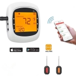 Belaidis termometras, BBQ Pro