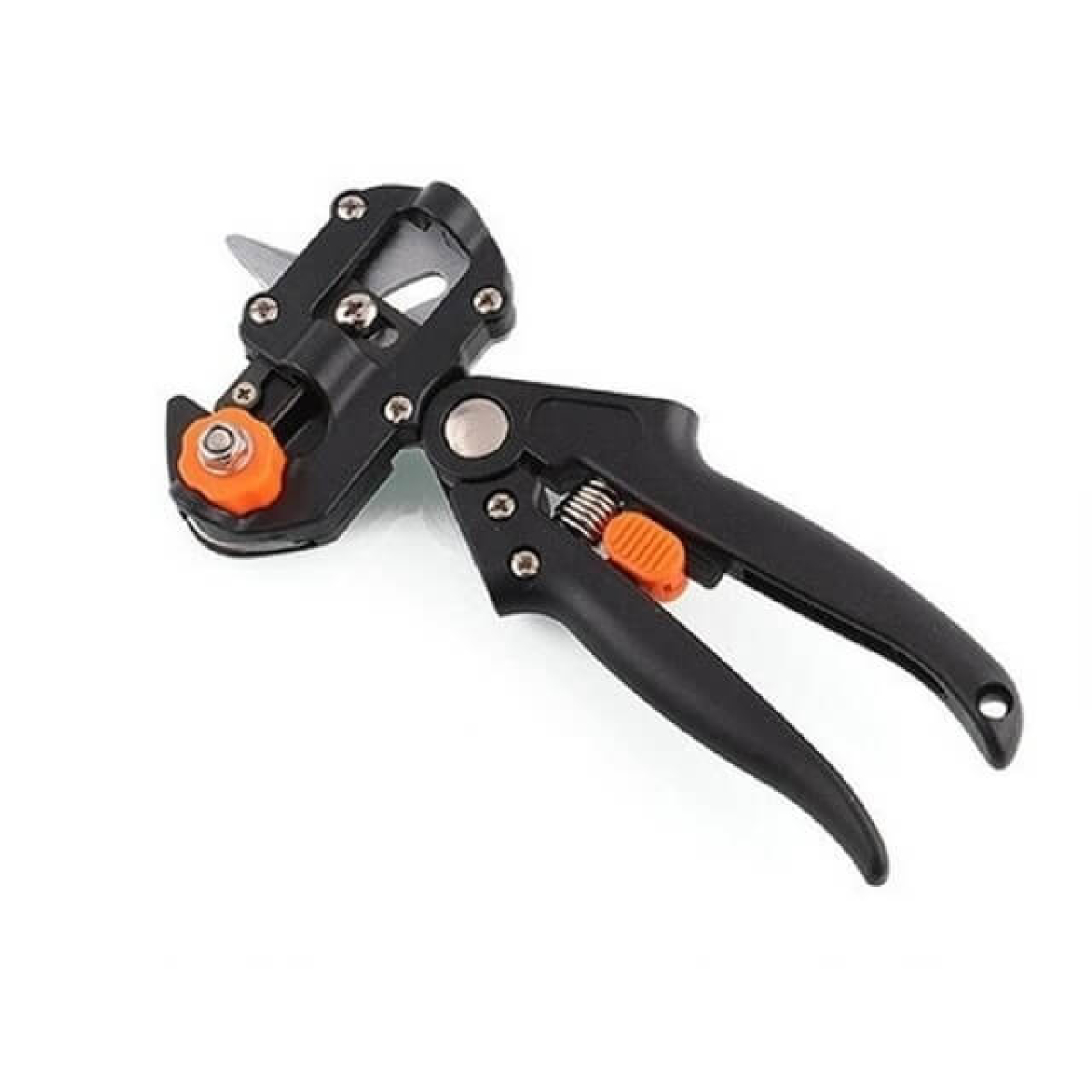 Medelių skiepijimo sekatorius