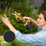 Akumuliatorinis sekatorius, Lithium 120w 48v